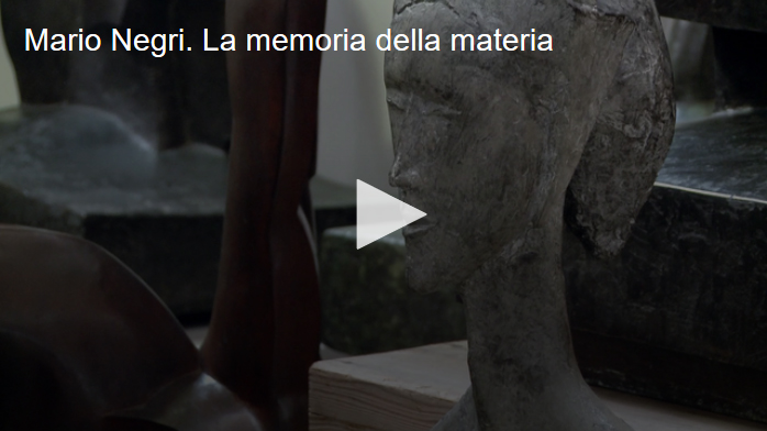 Mario Negri. La memoria della materia